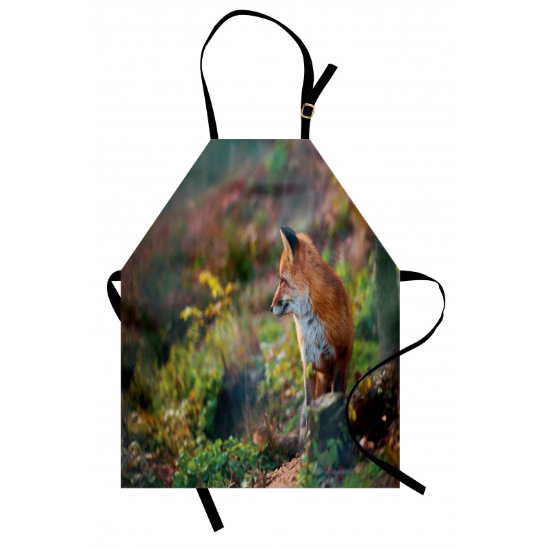 Young Wild Fox in Woodland Apron