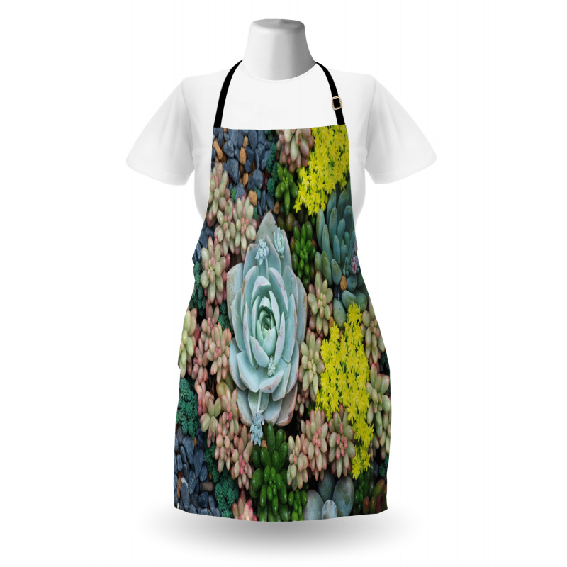 Miniature Plants Stones Apron