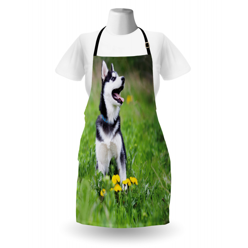 Puppy on Grass Apron