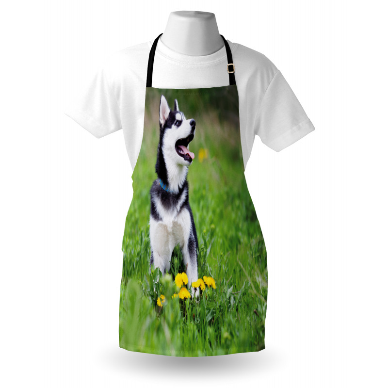 Puppy on Grass Apron