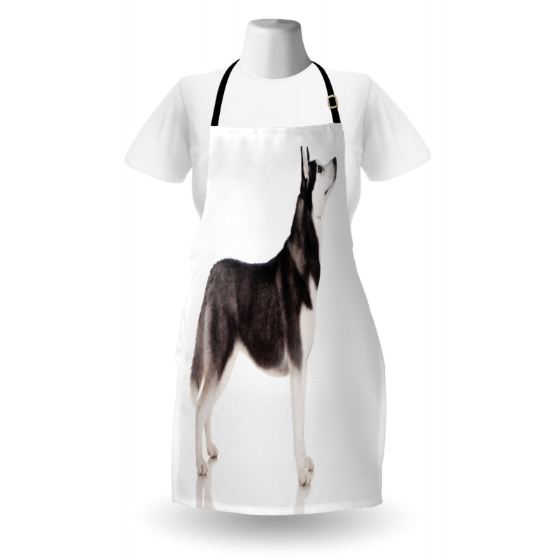 Arctic Animal Apron