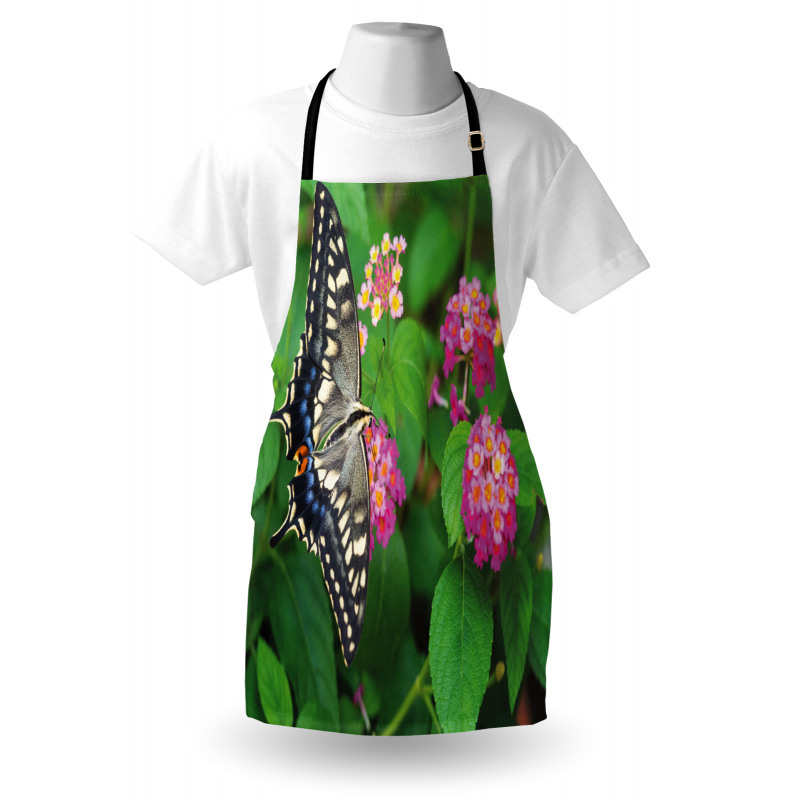 Eco Nature Apron