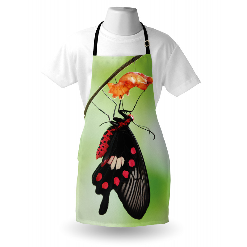 Open Cocoon Apron