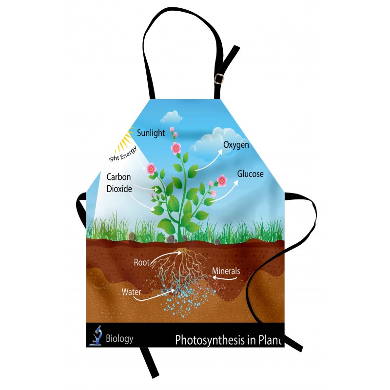 Plant Diagram Style Apron