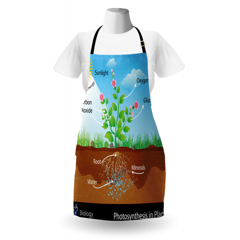 Plant Diagram Style Apron