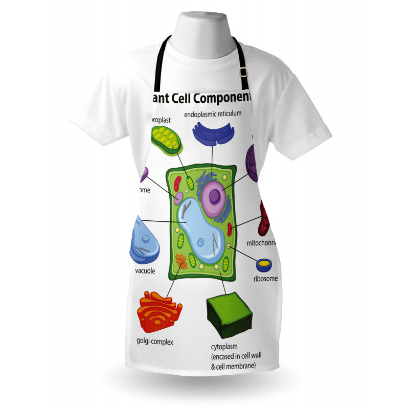 Cartoon Science Apron