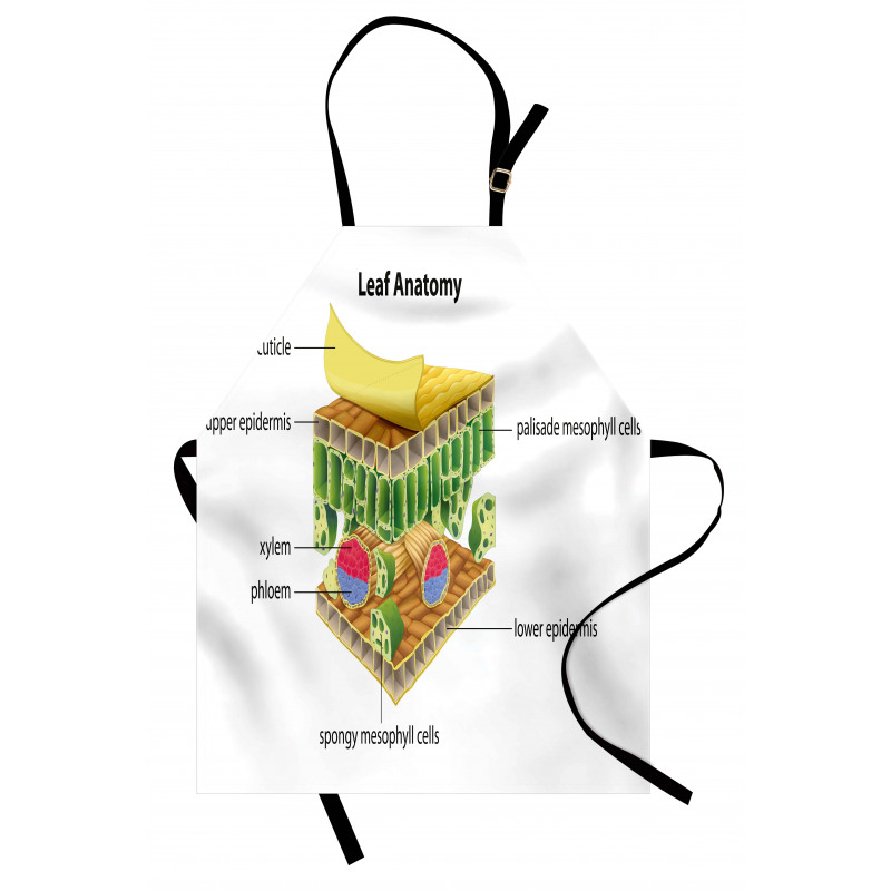 Leaf Names Theme Apron