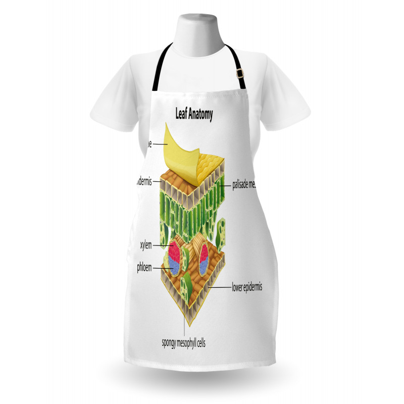 Leaf Names Theme Apron