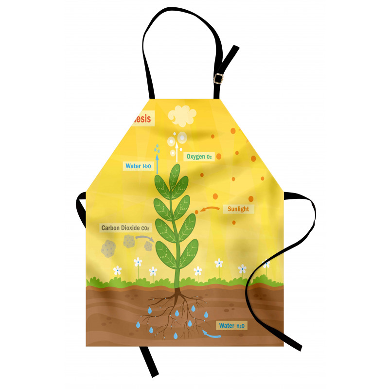 Cartoon Oxygen Sun Apron