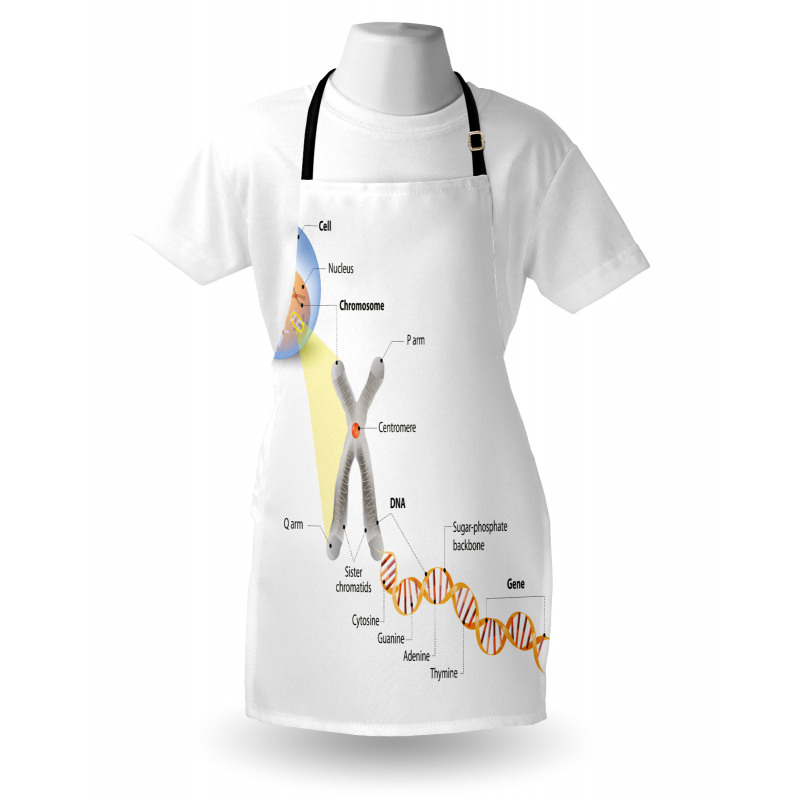 DNA Gene Genome Apron