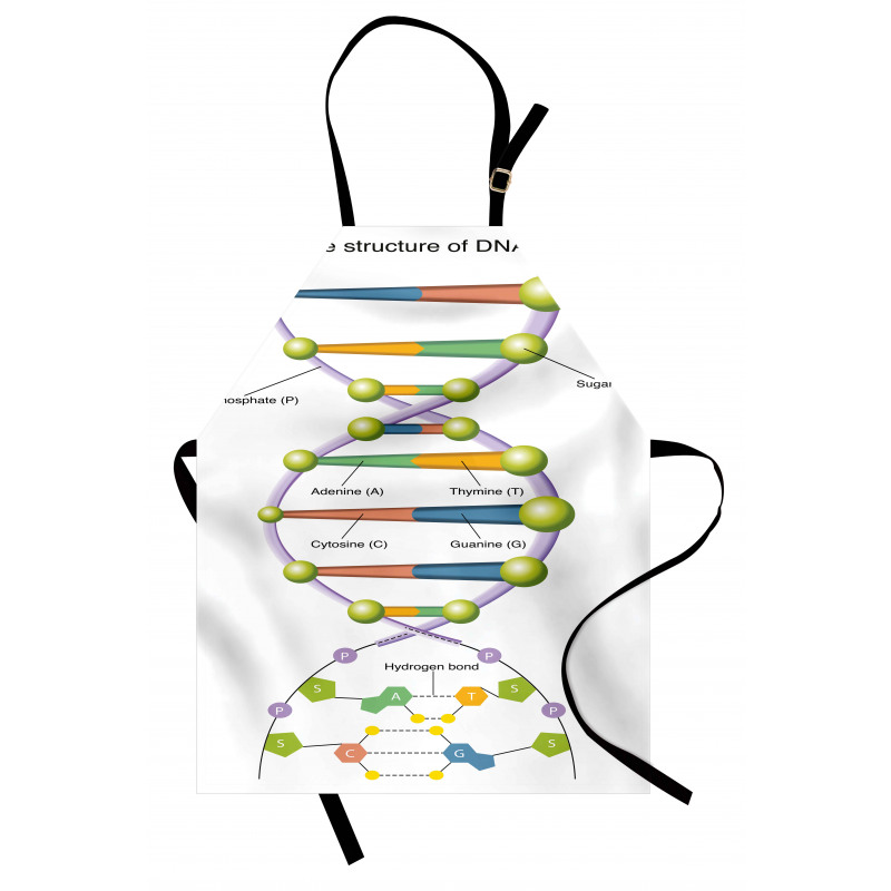 Öğretici Mutfak Önlüğü Gen ve DNA