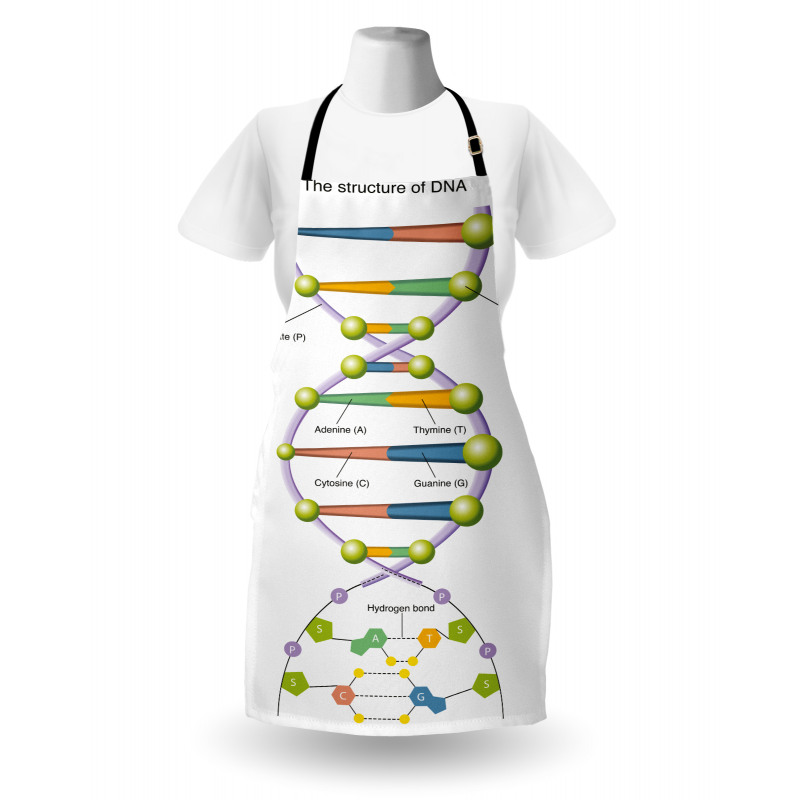 Öğretici Mutfak Önlüğü Gen ve DNA