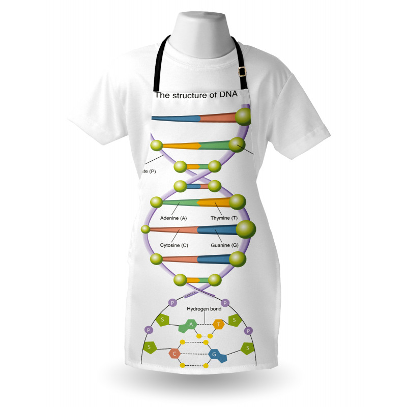 Öğretici Mutfak Önlüğü Gen ve DNA