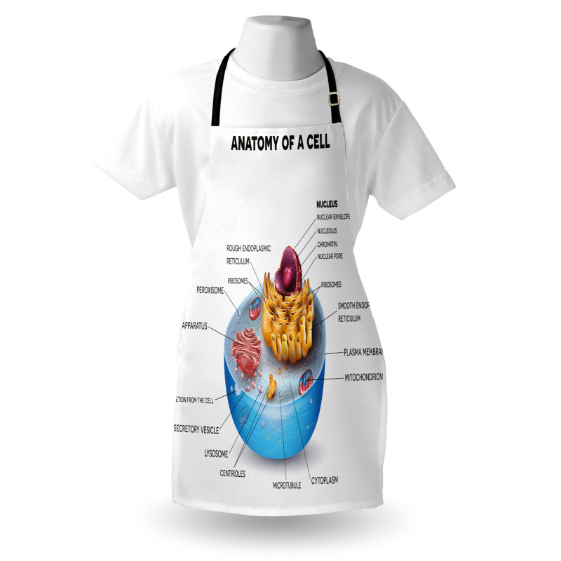 Microscopic Parts Apron