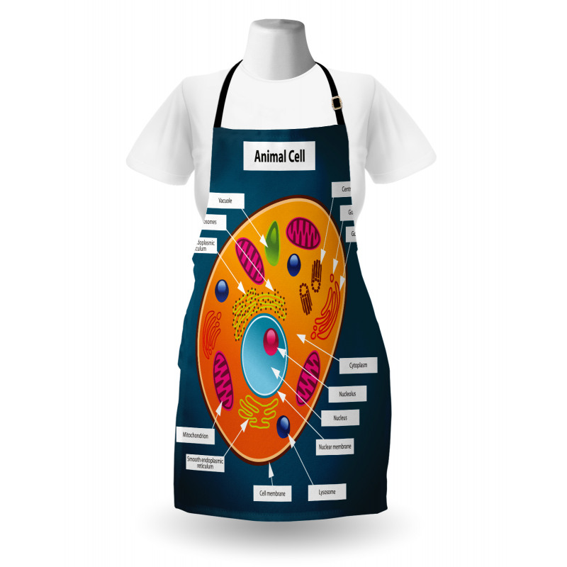 Science at School Apron