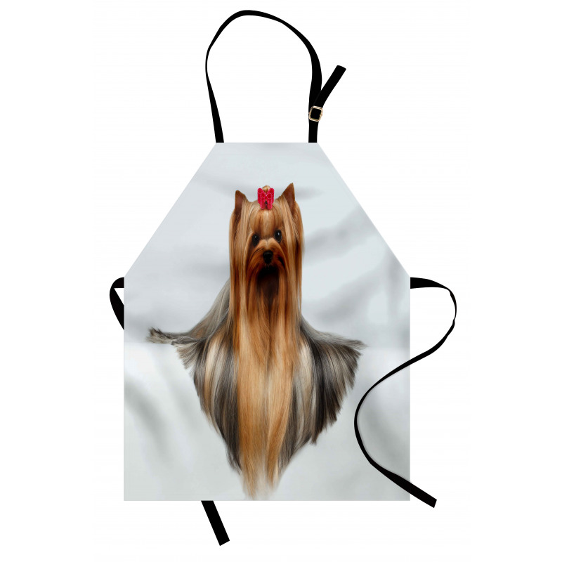 Groomed Hair Apron