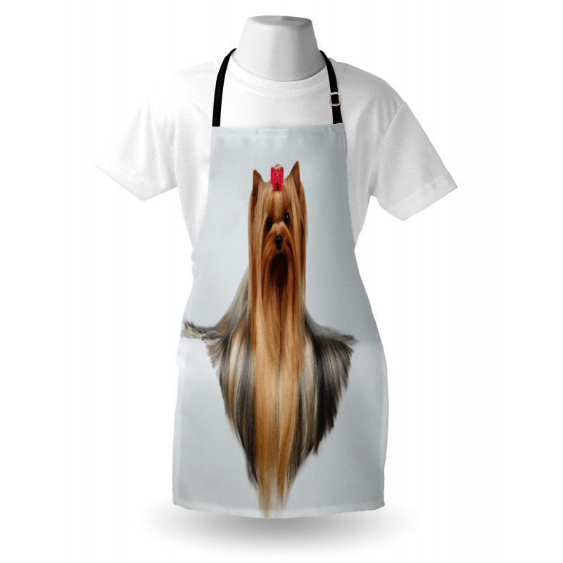 Groomed Hair Apron