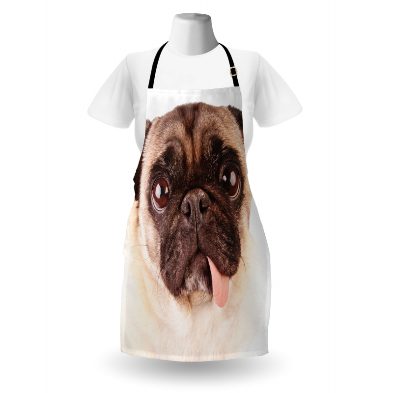 Upset Dog Sad Eyed Pet Apron