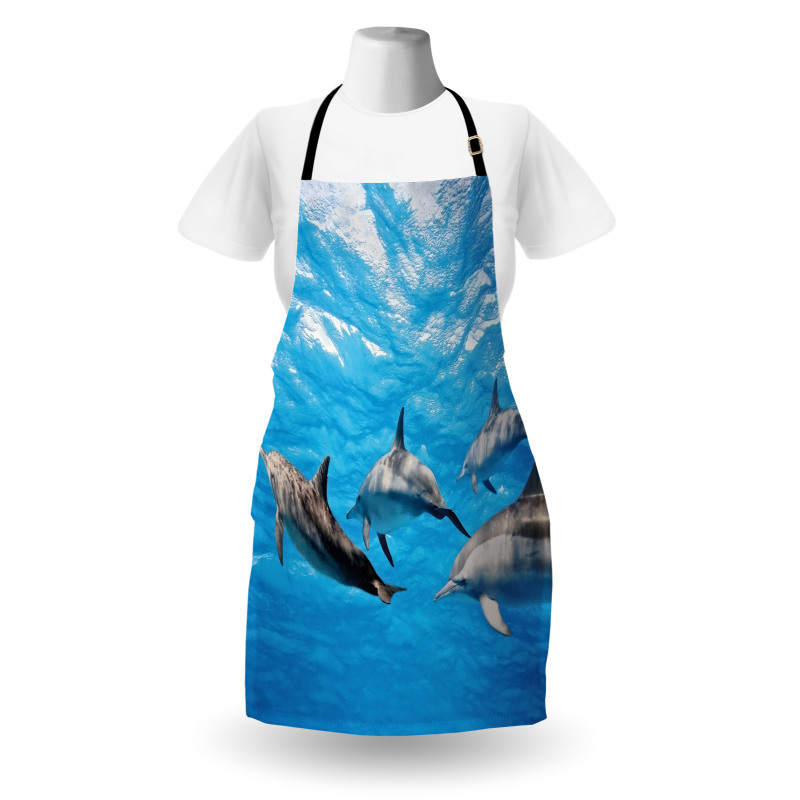 Happily Swimming Fish Apron