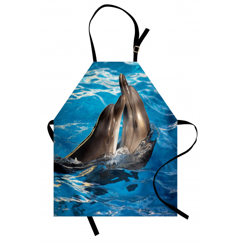 Aqua Show Photography Apron