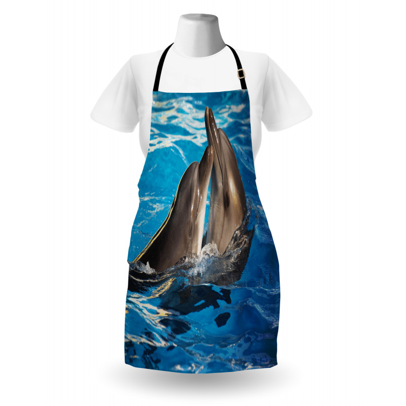 Aqua Show Photography Apron