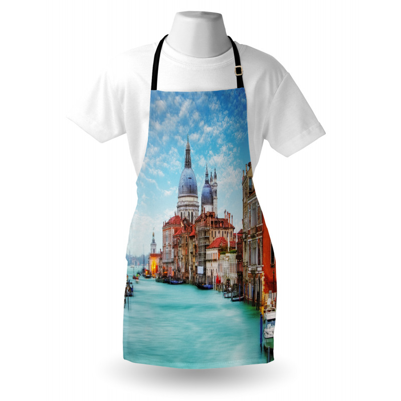 Image of Venice Grand Canal Apron