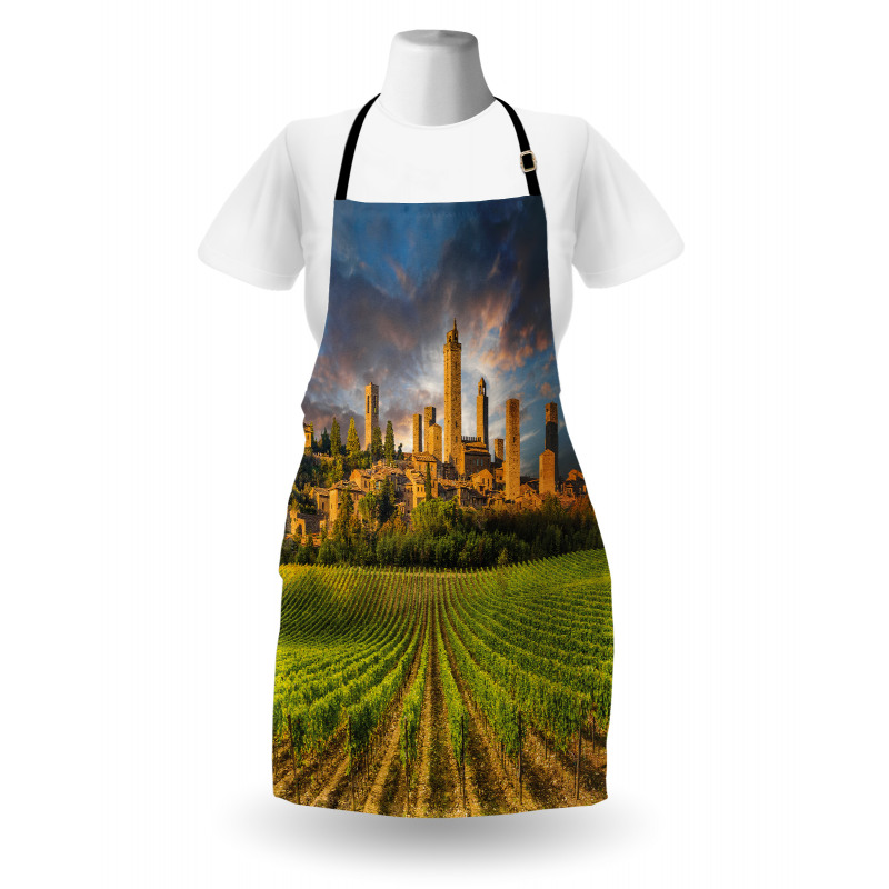 San Gimignano Vineyards Apron