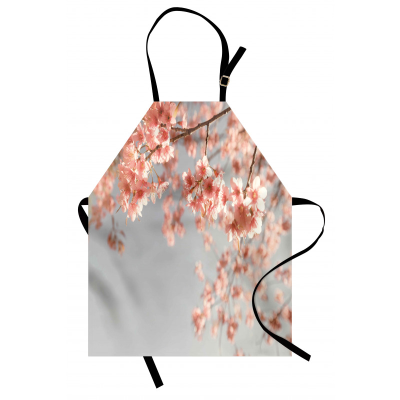 Scenery Sakura Trees Apron