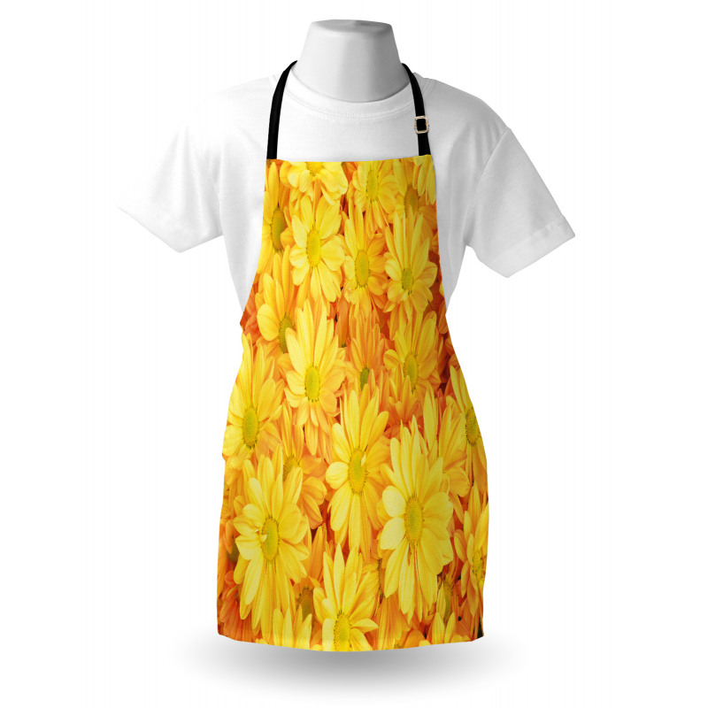 Lively Dasies Apron