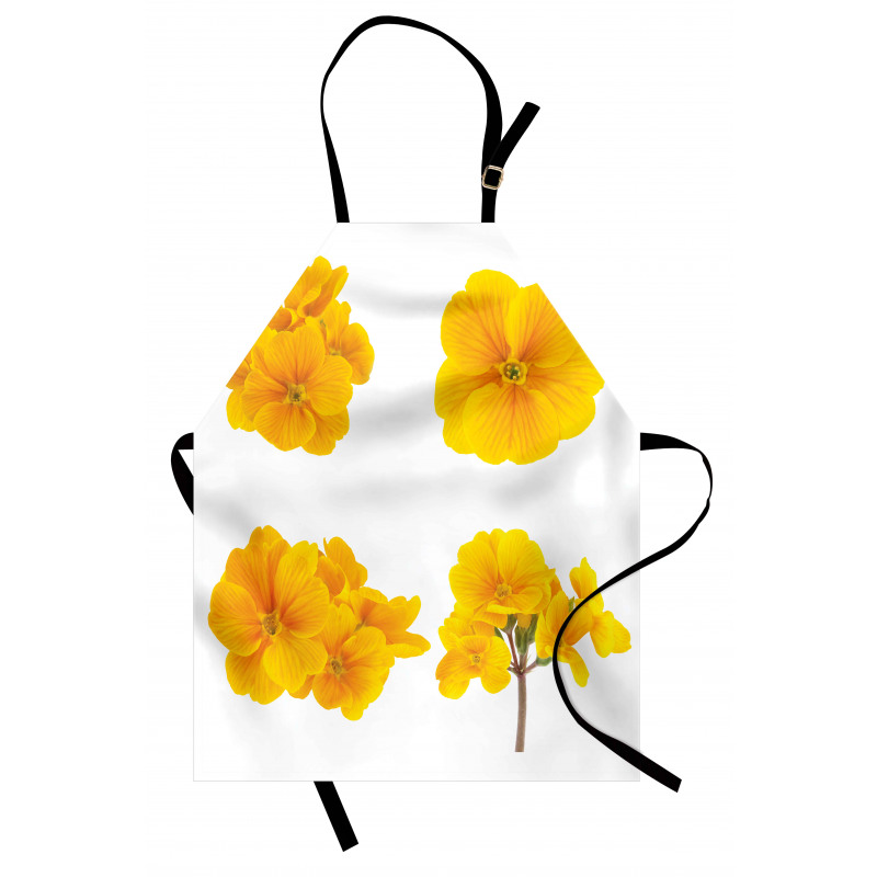 Garden Composition Apron