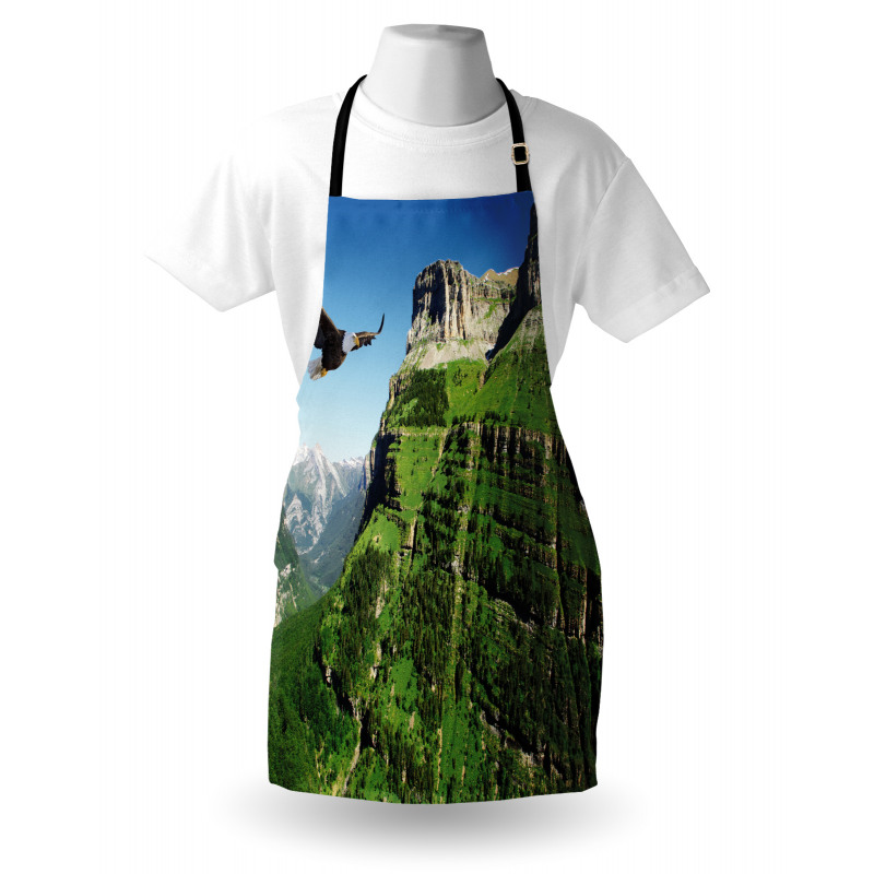 Bird Mountain Fly Apron