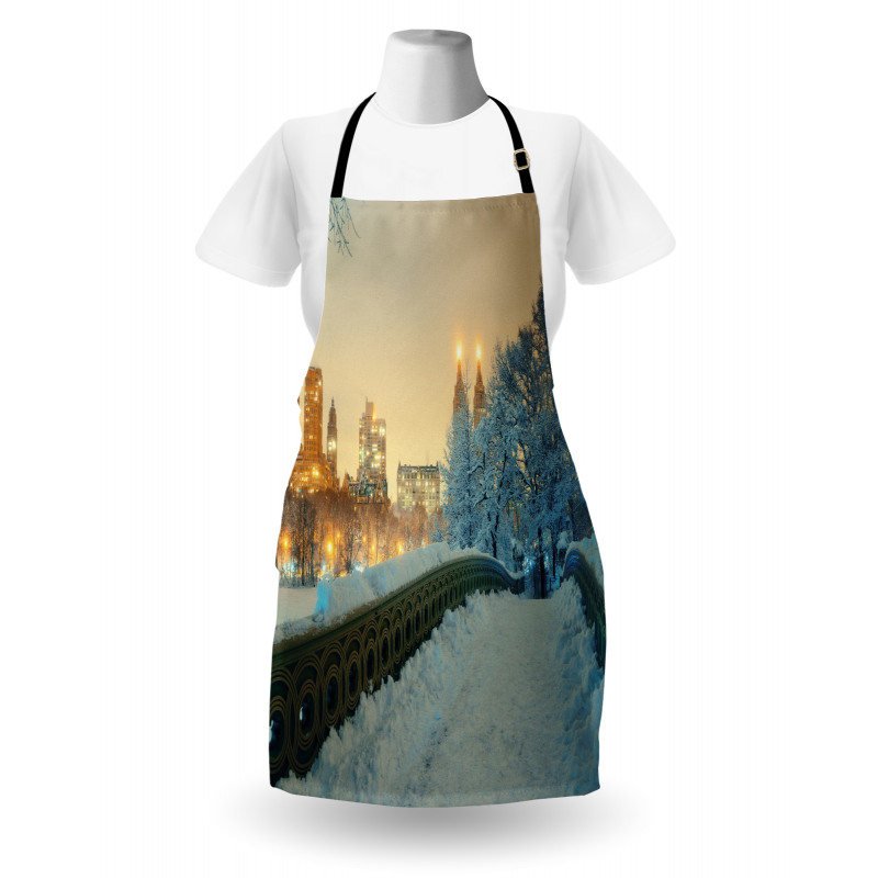 Central Park New York Apron