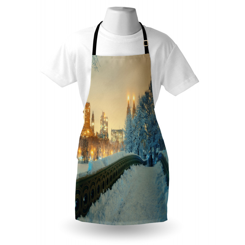 Central Park New York Apron