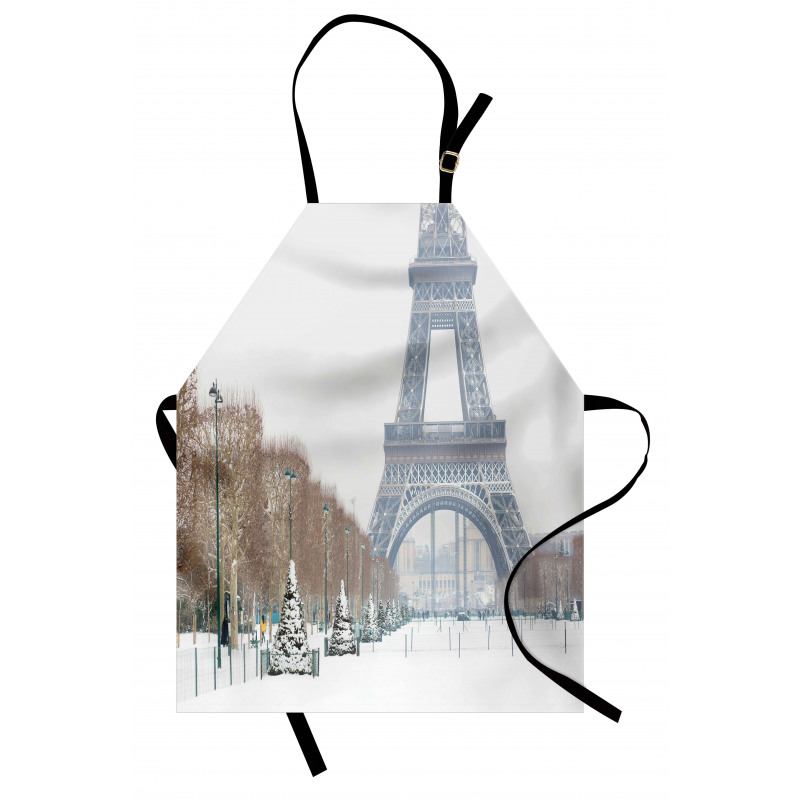 Eiffel Tower in Snow Apron