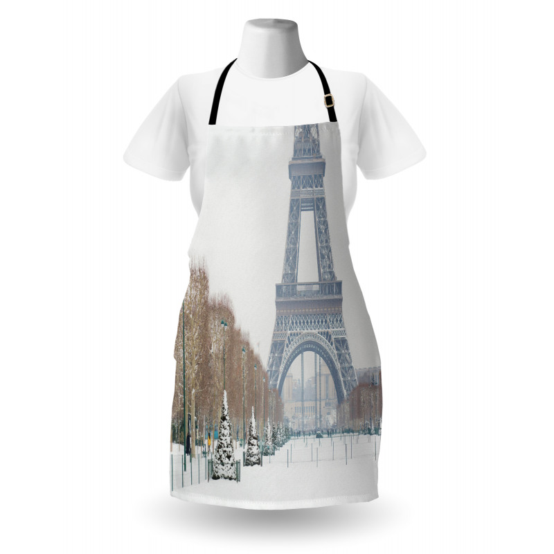 Eiffel Tower in Snow Apron