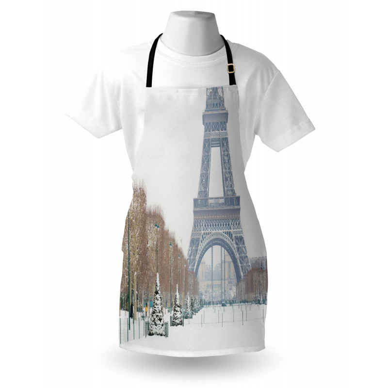 Eiffel Tower in Snow Apron