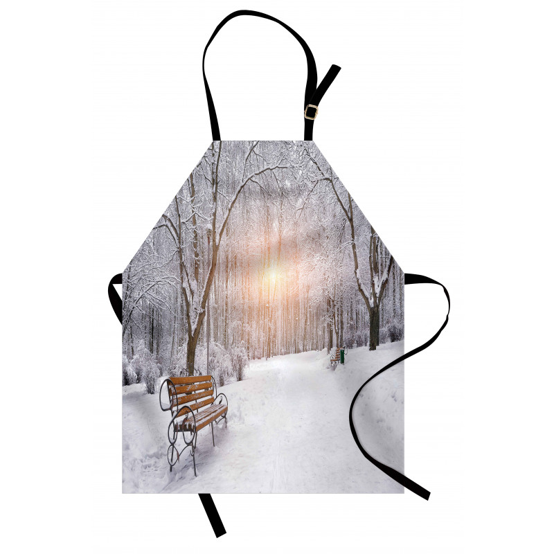 City Park Sunset Forest Apron