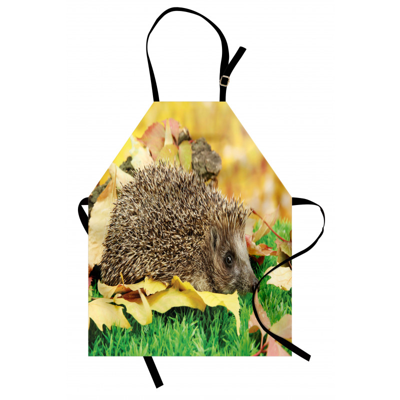 Little Hedgehog Apron