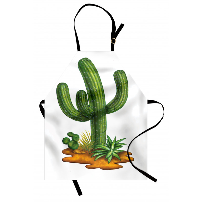 Arid Climate Saguaro Apron