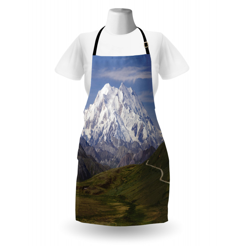 Denali National Park Apron