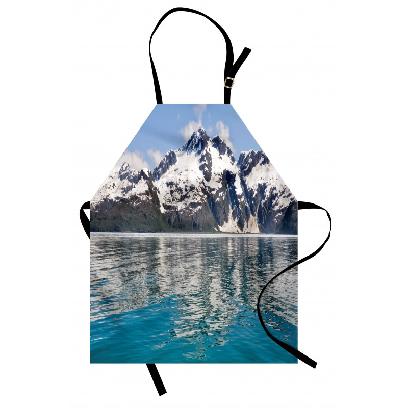 Aialik Bay Kenai Fjords Apron