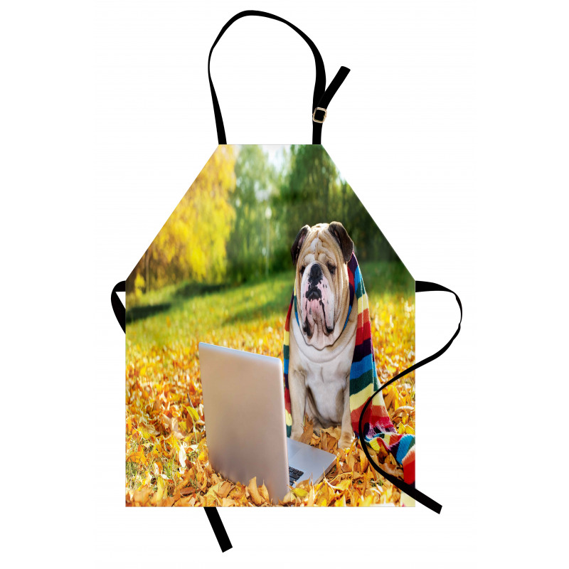 Hayvan Mutfak Önlüğü Yapraklı Zeminde Ekrana Bakan Üşümüş Bulldog