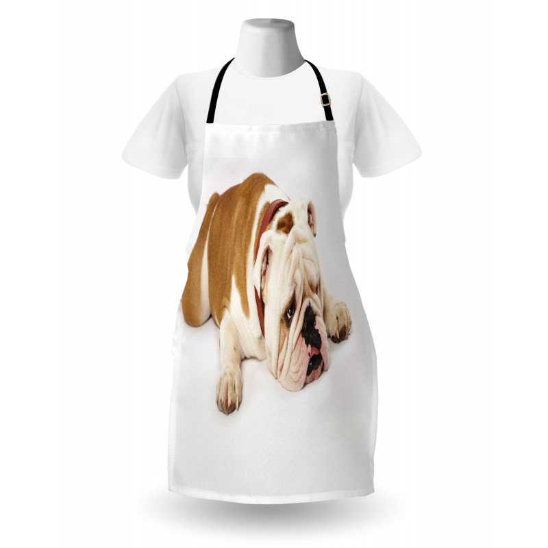 Sad Animal Apron