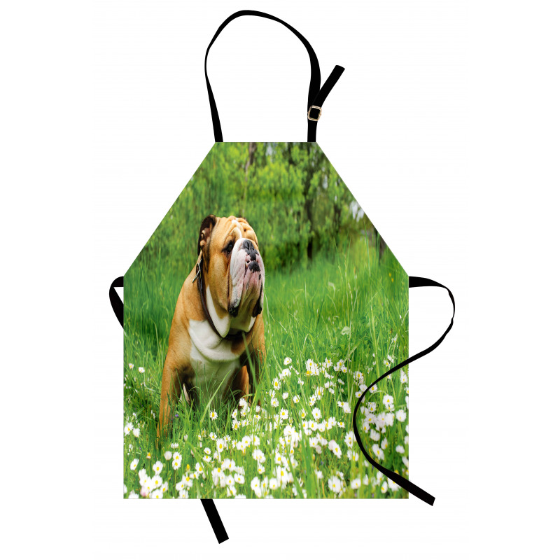 Blossom Daisies Apron