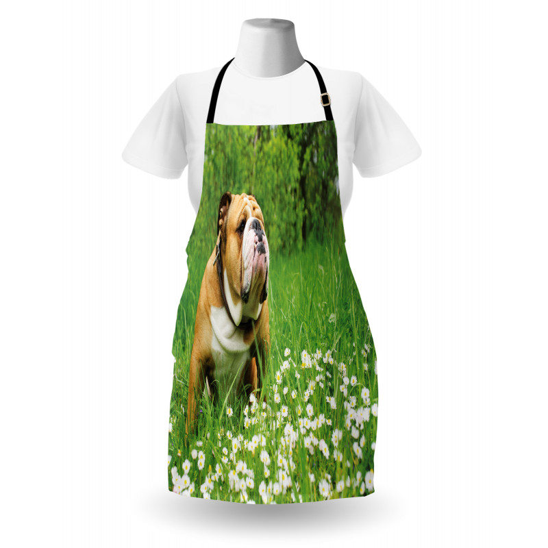 Blossom Daisies Apron