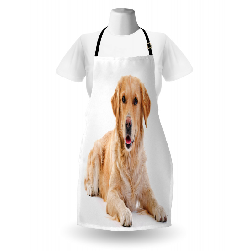 Young Puppy Apron