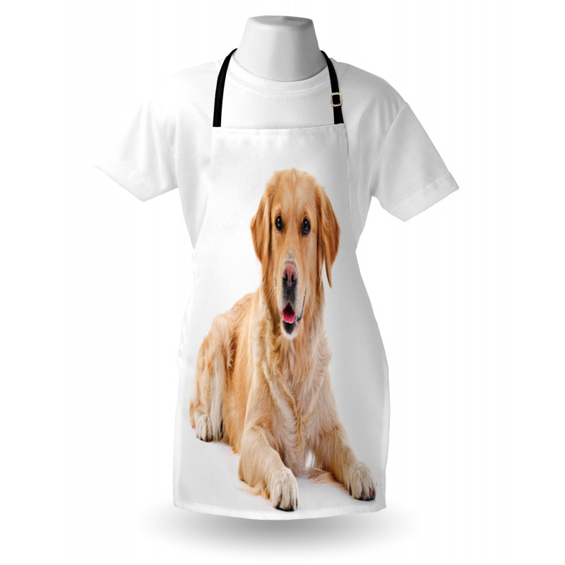 Young Puppy Apron