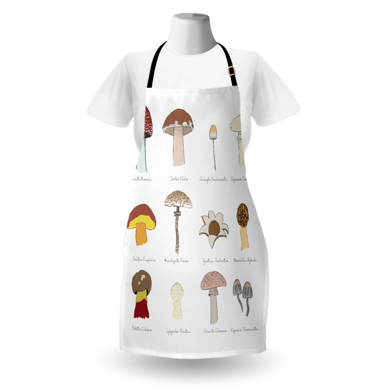 Blusher Boletus Sketch Apron