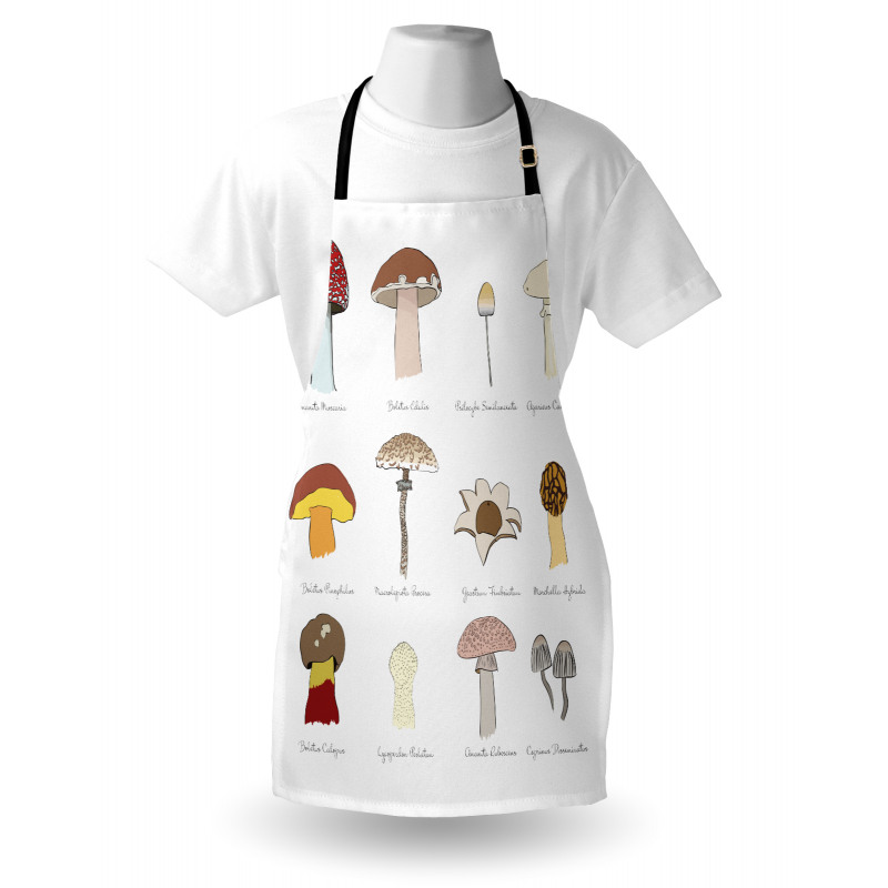 Blusher Boletus Sketch Apron