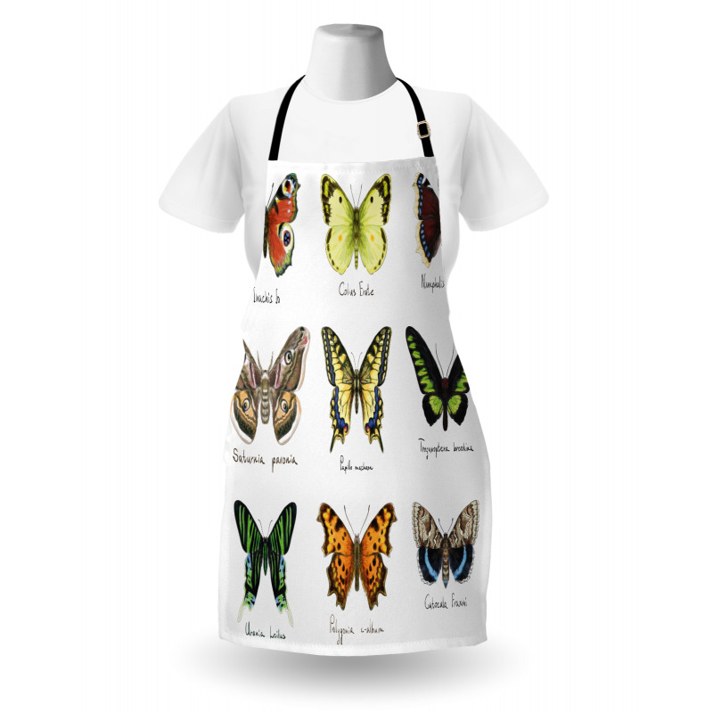 Spring Bugs Pattern Apron